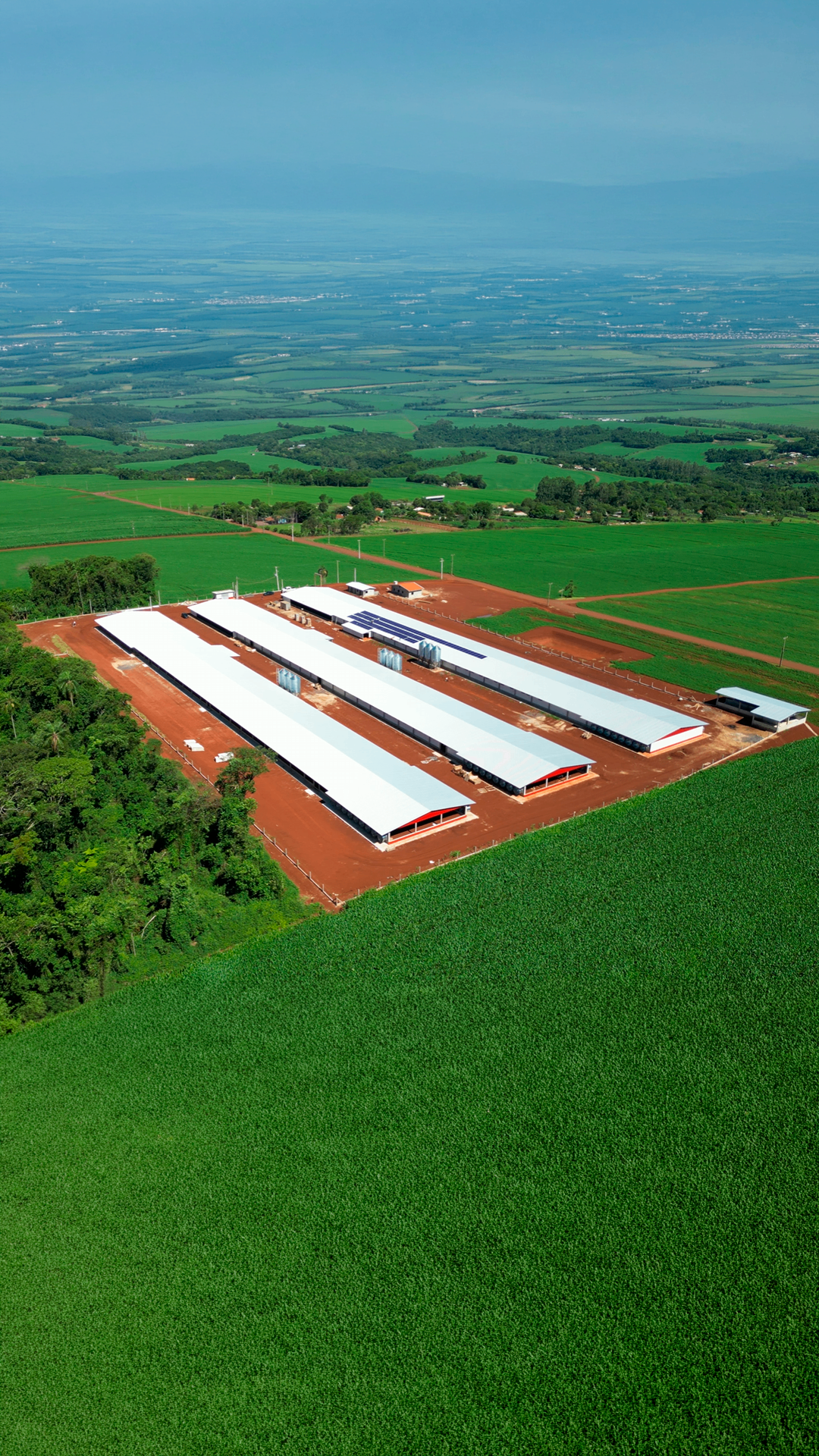 Vista aérea de granjas construídas pela Climaves no Paraná